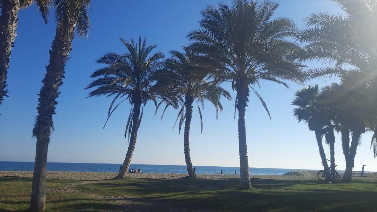 Antony Studio Benalmádena Kültér fotó